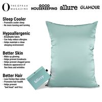 Mint Mulberry Silk Pillowcase – Blissy King